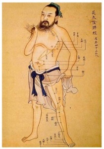 colorado chinese medicine